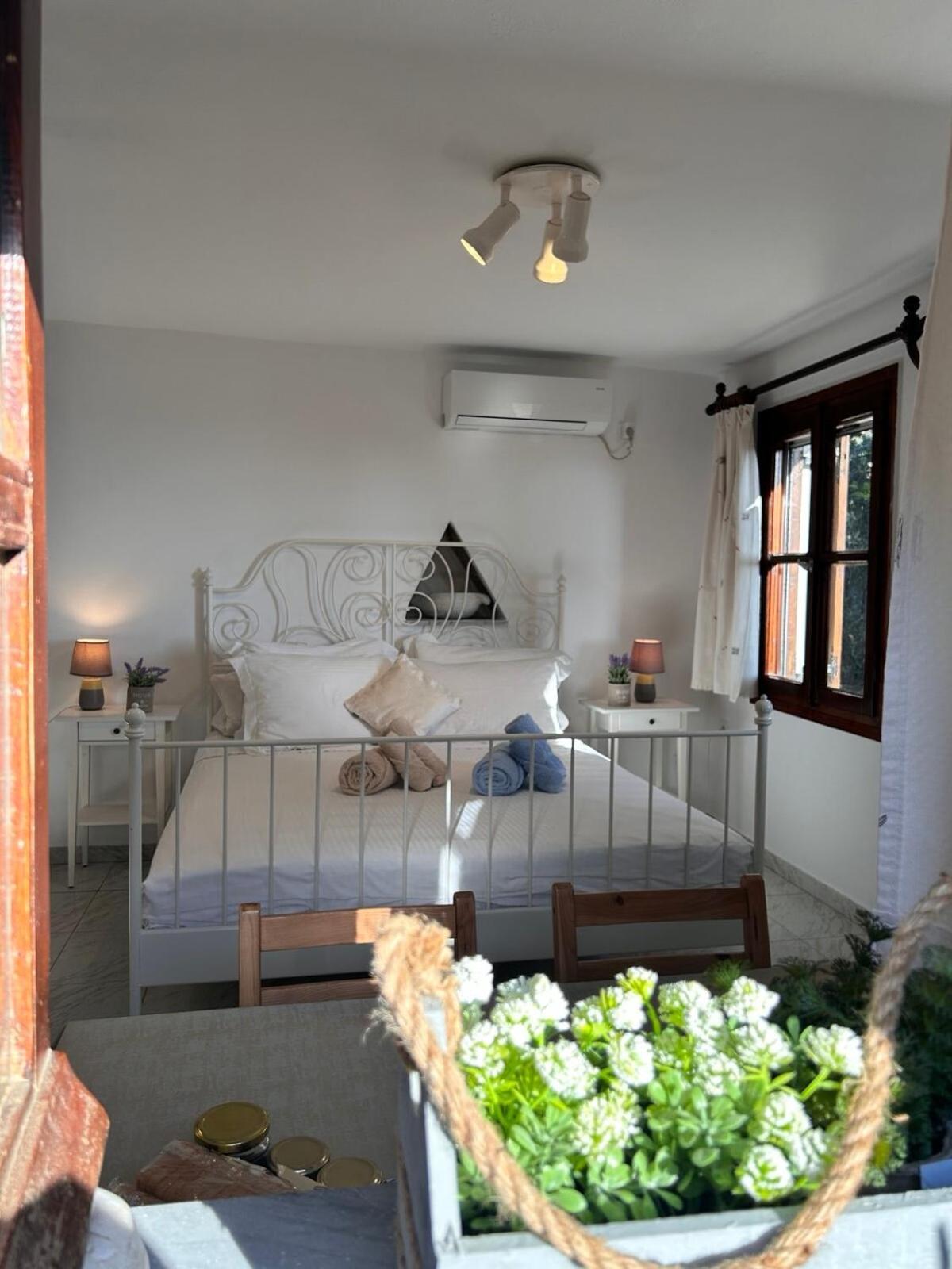 Grandpa Simos' Traditional Guest House Agios Romanos Esterno foto